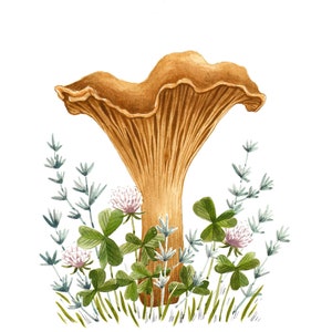 MANGUITO DE FIJACION Impresión de arte de setas rebozuelos, ilustración de forrajeo ... il_300x300.2207727942_p40w.jpg MANGUITO DE FIJACION Impresión de arte de setas rebozuelos, ilustración de forrajeo ... il_300x300.2207727942_p40w.jpg