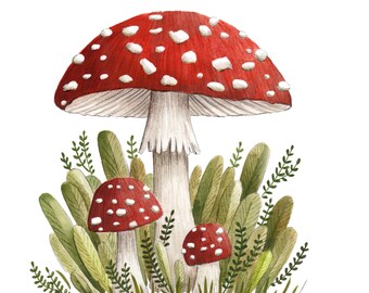 Fly Agaric Mushroom Art Print, Toadstool Illustration, Mushroom Painting, Woodland Decor, Foraging Art, Mushroom Decor, Mushroom Gift