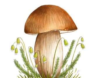 Porcini Mushroom Art Print, Penny Bun Illustration, Mushroom Painting, Woodland Decor, Mycology Art, Mushroom Decor, Mushroom Gift, Bolete