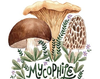 Mushroom Art Print, Mycophile Gift, Mycophile Art Print, Chanterelle Art, Porcini Wall Art, Penny Bun Print, Morel Print, Forager Gift