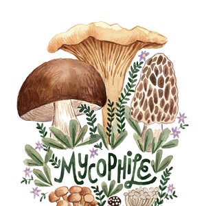 Mushroom Art Print, Mycophile Gift, Mycophile Art Print, Chanterelle Art, Porcini Wall Art, Penny Bun Print, Morel Print, Forager Gift image 1