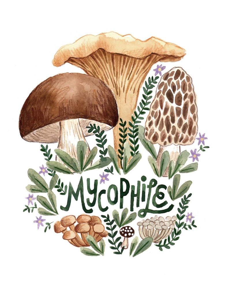 Mushroom Art Print, Mycophile Gift, Mycophile Art Print, Chanterelle Art, Porcini Wall Art, Penny Bun Print, Morel Print, Forager Gift image 1