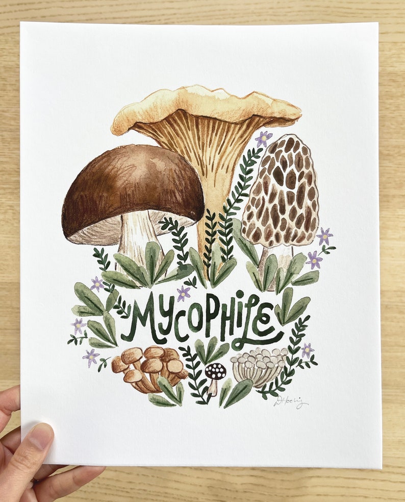 Mushroom Art Print, Mycophile Gift, Mycophile Art Print, Chanterelle Art, Porcini Wall Art, Penny Bun Print, Morel Print, Forager Gift image 4