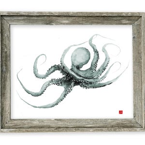 Framed Flying  Octopus Gyotaku Print