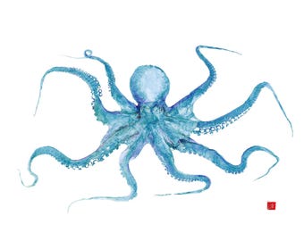 Impression gyotaku pieuvre bleu sarcelle