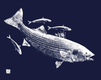 Impression gyotaku bar rayé blanc sur bleu