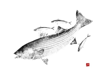 Bar rayé à imprimé maquereau gyotaku