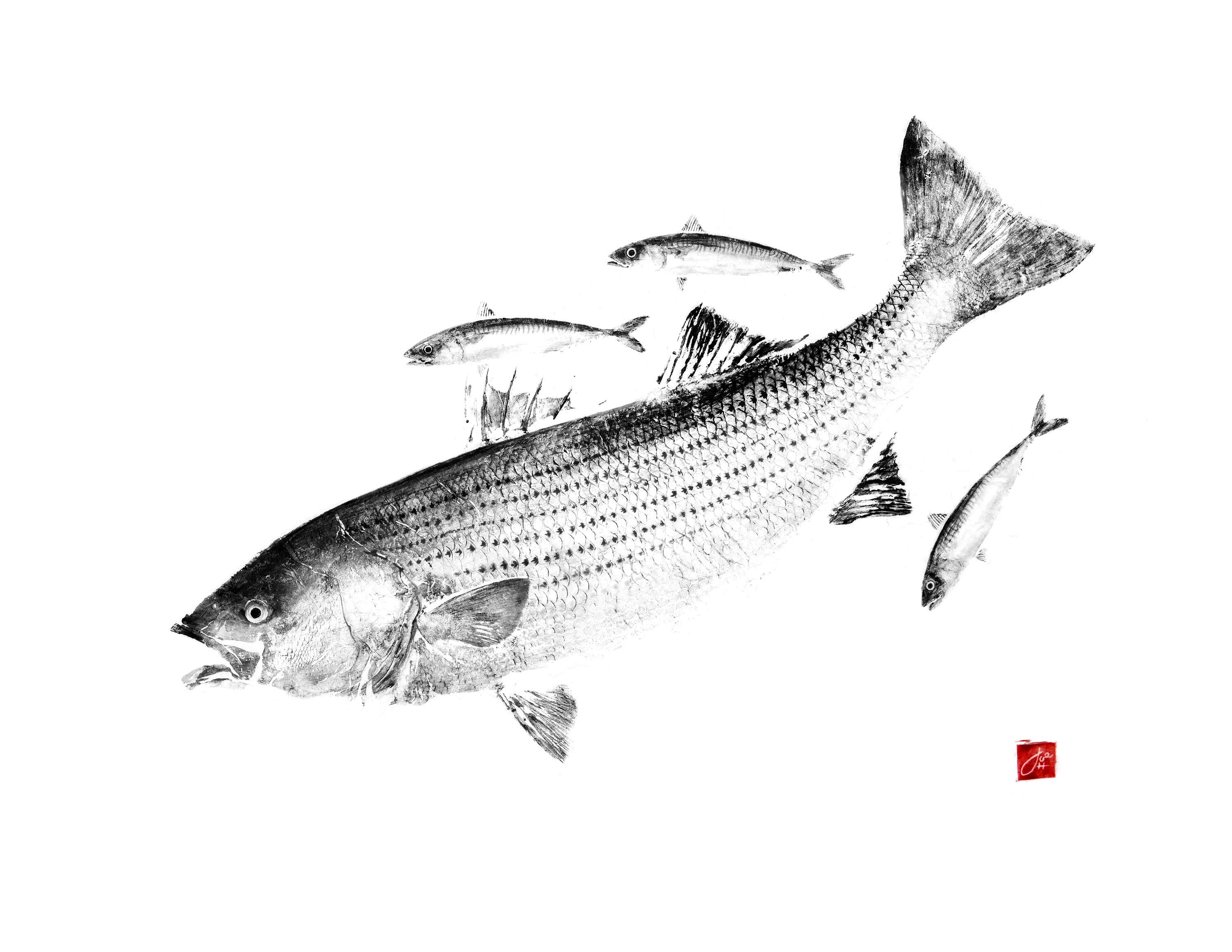 4日限定Large mouth Bass　壁掛け剥製 鲈鱼鱼标本| eBay