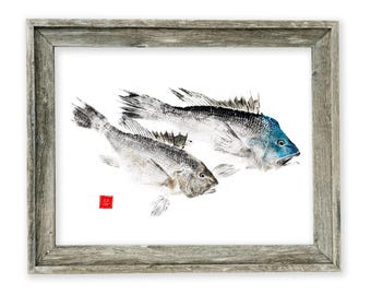 Paire de loups de mer Noirs, impression gyotaku