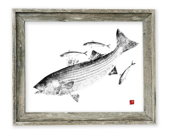 Bar rayé encadré avec impression gyotaku de maquereau