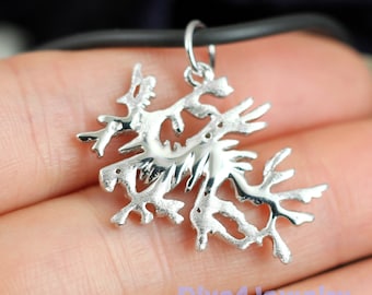 Leafy Seadragon Necklace Solid 925 Sterling Silver Sea dragon Pendant Seahorse ocean Sealife reef diver jewellery