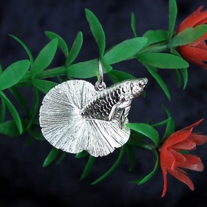 3D Betta Fish in Sterling Silver Pendant with Necklace Siamese Fighting Fish Aquarium Fish Necklace fish tank tropical