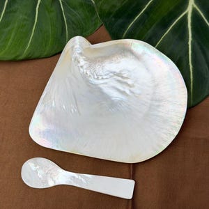 Juego de cuchara y plato para caviar, cuchara de nácar, plato pequeño de concha hecho a mano, regalo gourmet de lujo de mrrvintagee, decoración de cocina