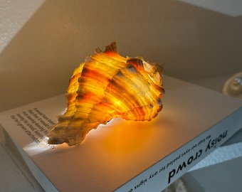 Handmade Seashell Night Light – Coastal Home Decor Lamp