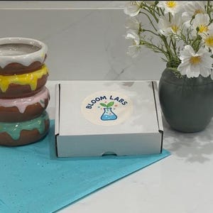May include: A stack of four ceramic donut-shaped planters with white, yellow, pink, and teal glaze. A white box with a "Bloom Labs" sticker and a vase of white flowers are also present.