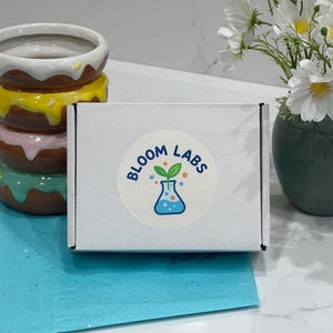 May include: A white box with a circular "Bloom Labs" sticker featuring a beaker and leaves. Stacked ceramic donut-shaped bowls with white frosting and colorful glaze. A vase of white flowers sits nearby.