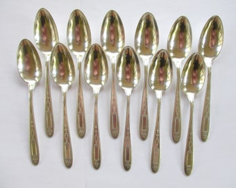 May include: A collection of eleven silver spoons arranged on a white surface. Each spoon has an oval bowl and a long handle with decorative detailing. The spoons are reflective, showing the surrounding environment.
