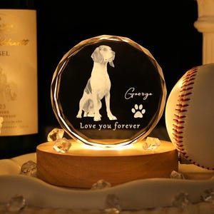 Personalized Heart 3D Crystal Photo Portrait LED,Custom 3D Crystal Photo Gift for Pet,Engraved Crystal Photo With Light,Gifts for pet lovers