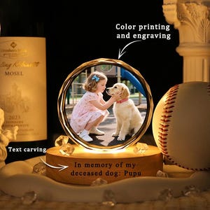 Personalized Heart 3D Crystal Photo Portrait LED,Engraved Crystal Photo With Light,3D Crystal Photo Gift for Pet ,Light up 3D Crystal Photo.