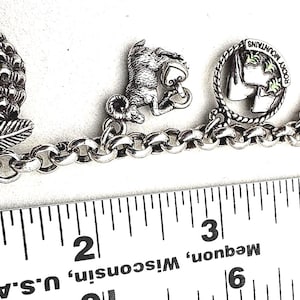 May include: A silver charm bracelet with various detailed charms, including a Colorado flag, a pinecone, and a squirrel. The bracelet is measured with a ruler, showing a length of approximately 7 inches.