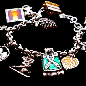 Retired Brighton Colorado Charm Bracelet: Enamel, Silver Tone, Travel, Nature, Denver image 8