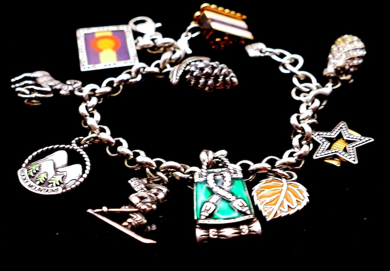 Retired Brighton Colorado Charm Bracelet: Enamel, Silver Tone, Travel, Nature, Denver image 8