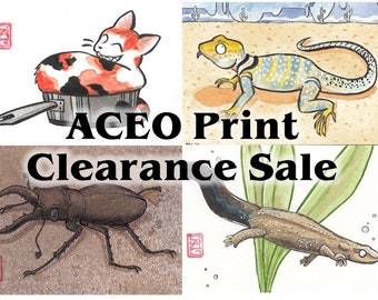 Watercolor Art ACEO Numbat Archival Print