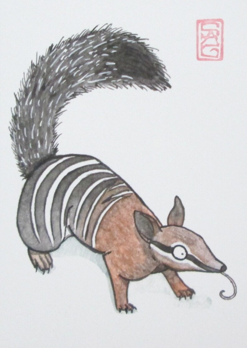 Watercolor Art ACEO Numbat Archival Print