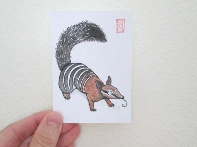Watercolor Art ACEO Numbat Archival Print