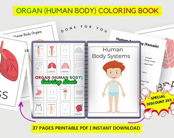 Human Body Organs Coloring Book | Anatomy Science Worksheets (PDF)