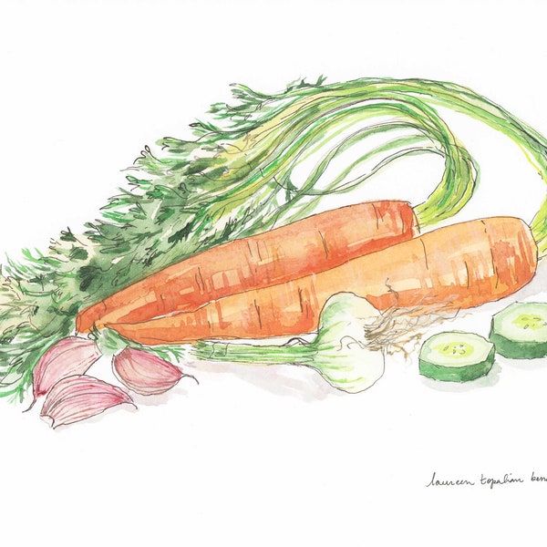 cooking painting-kitchen art-cooking watercolor - vegetables painting-vegetables watercolor-garlic drawing-zucchini drawing-cooking art