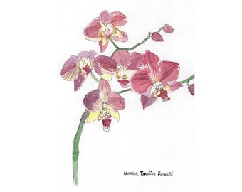 flower painting-flower drawing-Flower original watercolor-Orchid watercolor