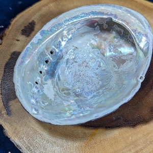 May include: An iridescent abalone shell with a pearlescent sheen, resting on a round, wooden slice with a natural edge. The shell's interior displays a swirling pattern of colors, including blues, greens, and purples. The wood has a light brown color.