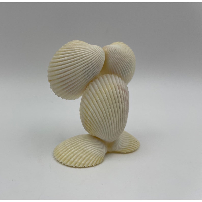 Clam Shell Vtg Googly Eyes Sea Shell Figurine Trinket Etsy