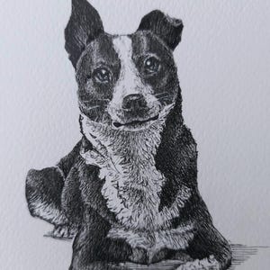 Disegno personalizzato • Ritratto di animale • Illustrazione a inchiostro • Ritratto di animale a matita • Cartolina • Opera d'arte personalizzata • Disegno personalizzato • Schizzo di animale