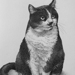 Dessin personnalisé • Portrait d'animal de compagnie • Illustration à l'encre • Portrait d'animaux de compagnie au crayon • Carte postale • Oeuvre d'art personnalisée • Dessin personnalisé • Croquis d'animal
