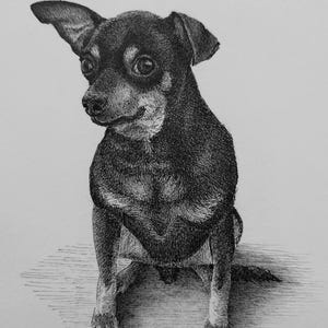 Aangepaste tekening • Huisdierportret •Inktillustratie • Potloodportret huisdieren • Briefkaart • Aangepast artwork • Aangepaste tekening• Dierenschets