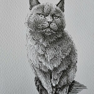 Dessin personnalisé • Portrait d'animal de compagnie • Illustration à l'encre • Portrait d'animaux de compagnie au crayon • Carte postale • Oeuvre d'art personnalisée • Dessin personnalisé • Croquis d'animal