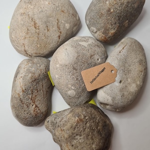 以下が含まれることがあります： さまざまなサイズの、滑らかで灰色の川石が6つ集まったもの。石は自然で風化した外観で、微妙な色の変化があります。「HeSheAndWhippet」というテキストが入った小さな茶色のタグが石の1つに付いています。