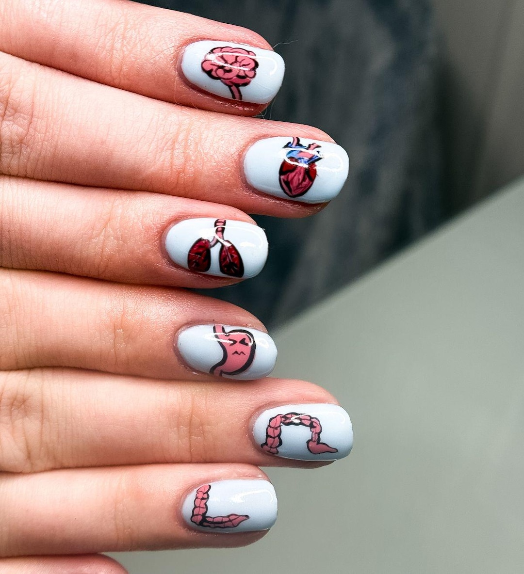 Anatomy Press on Nails | Medical Nail Art | Hand Painted Organ Nails ...