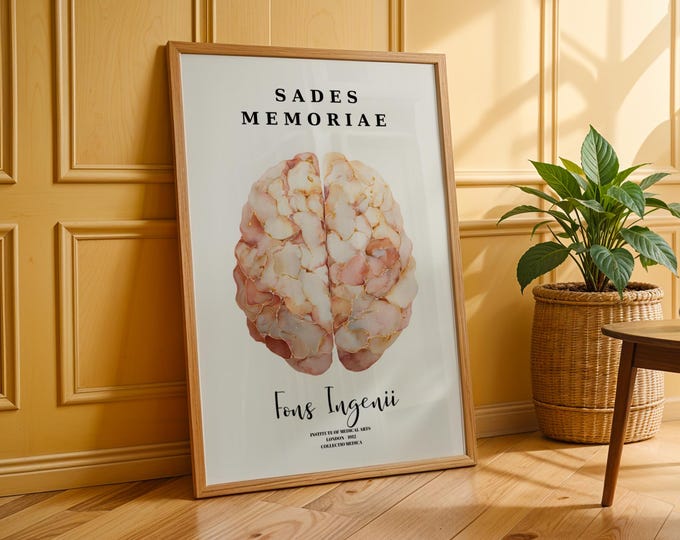 12 Anatomical Brain Posters Neurology Art Medical Decor Human Brain ...