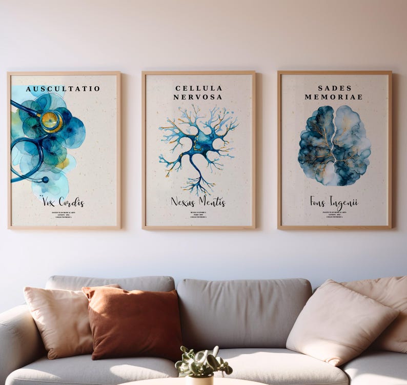 Puede incluir: Tres impresiones art&iacute;sticas enmarcadas con temas m&eacute;dicos. Las impresiones presentan ilustraciones en acuarela de un estetoscopio, una neurona y un cerebro. Cada impresi&oacute;n tiene texto en lat&iacute;n en la parte superior e inferior. Los marcos son de madera clara, sobre un sof&aacute;.