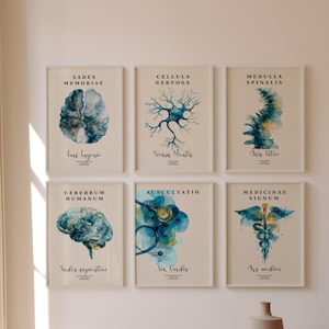 Brain Anatomy Art Print: Neurology, Neuron Cell Decor Set (Digital Download)