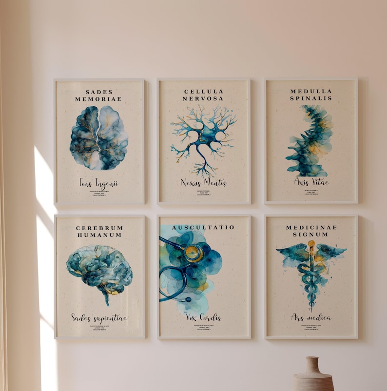 Lámina artística de anatomía cerebral: Neurología, Conjunto decorativo de células neuronales (Descarga digital) imagen 1