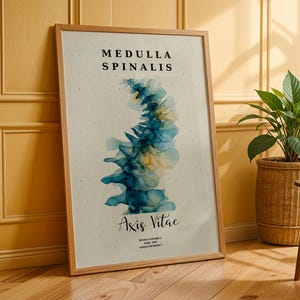 May include: A framed print featuring a watercolor illustration of the spinal cord in shades of blue and yellow. The print includes the text "MEDULLA SPINALIS" and "Axis Vitae" in black font. The frame is made of light brown wood.