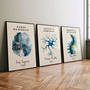 Lámina artística de anatomía cerebral: Neurología, Conjunto decorativo de células neuronales (Descarga digital) imagen 4