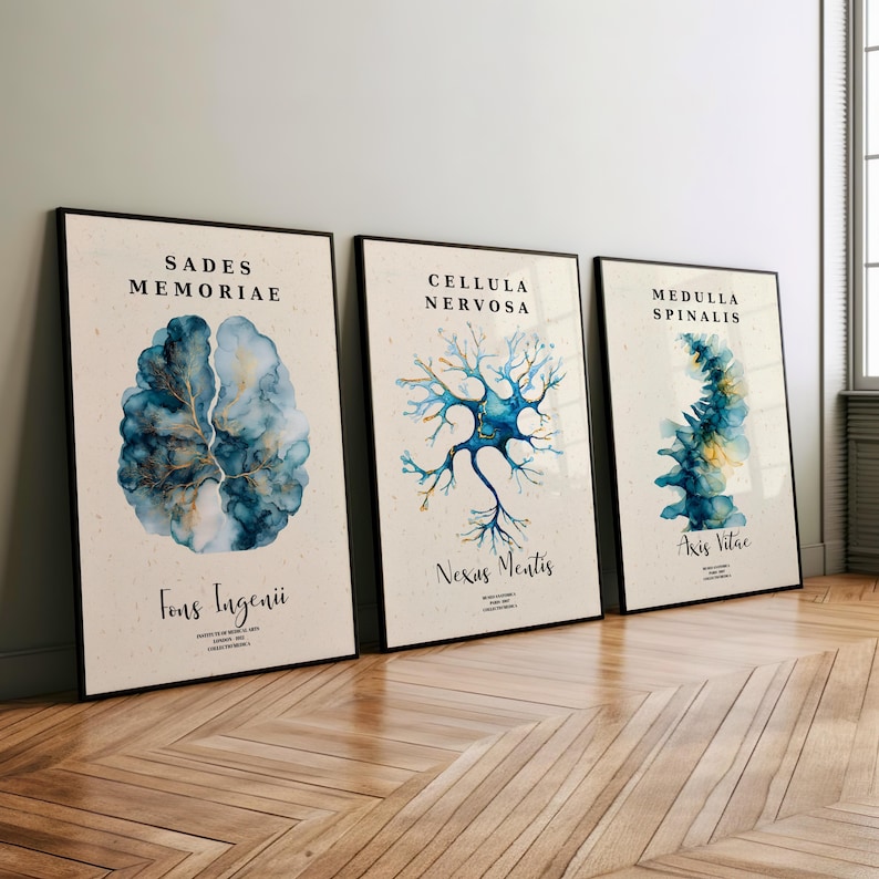 Lámina artística de anatomía cerebral: Neurología, Conjunto decorativo de células neuronales (Descarga digital) imagen 4