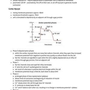 Peut inclure: Diagramme d'ECG, intitul&eacute; "Potentiel d'action" et "ECGs". Le diagramme comprend un graphique illustrant les phases du potentiel d'action, avec des annotations pour les mouvements des ions K+ et Na+. Texte d&eacute;crivant la fonction des myocytes cardiaques.