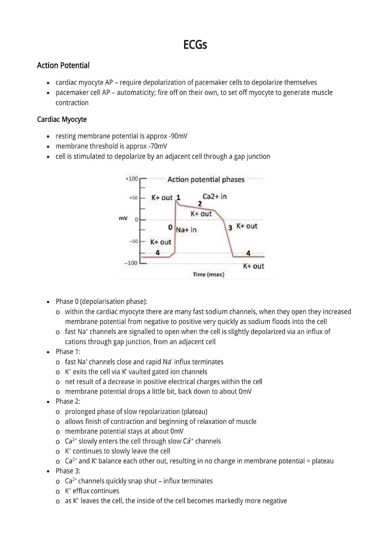Peut inclure: Diagramme d'ECG, intitul&eacute; "Potentiel d'action" et "ECGs". Le diagramme comprend un graphique illustrant les phases du potentiel d'action, avec des annotations pour les mouvements des ions K+ et Na+. Texte d&eacute;crivant la fonction des myocytes cardiaques.