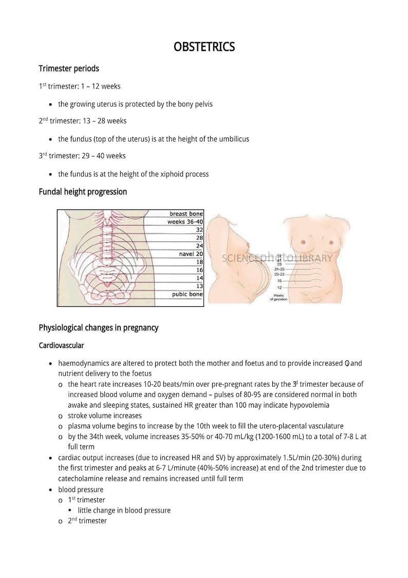 Peut inclure: Sch&eacute;ma m&eacute;dical sur l'obst&eacute;trique, pr&eacute;sentant les p&eacute;riodes de trimestre, la progression de la hauteur fundique et les changements physiologiques pendant la grossesse. L'image comprend du texte et des dessins anatomiques.